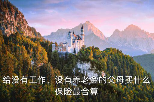給沒有工作、沒有養(yǎng)老金的父母買什么保險最合算