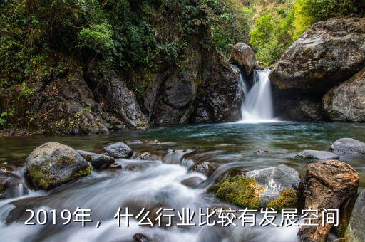 2019年，什么行業(yè)比較有發(fā)展空間