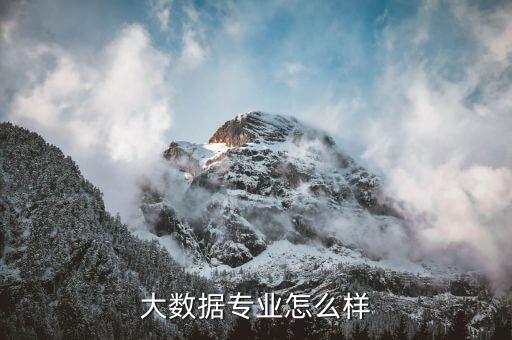 大數(shù)據(jù)專(zhuān)業(yè)怎么樣