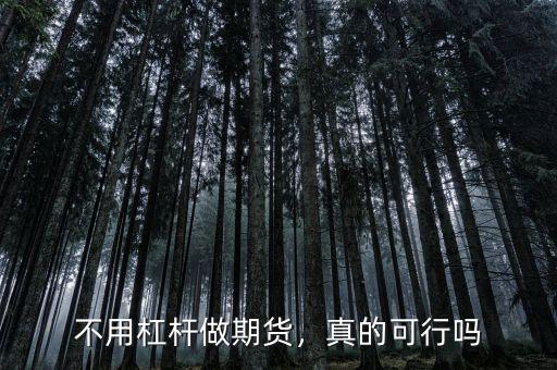 不用杠桿做期貨，真的可行嗎
