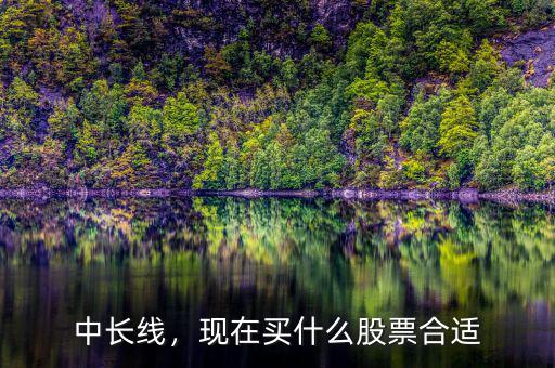 中長(zhǎng)線，現(xiàn)在買什么股票合適