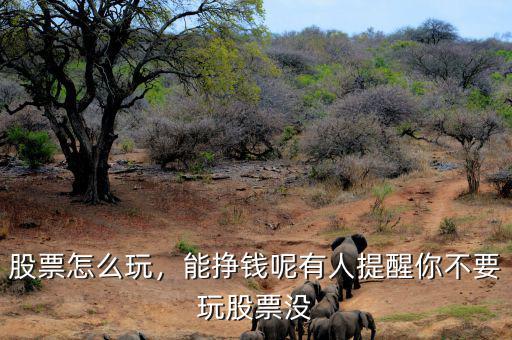 股票怎么玩，能掙錢呢有人提醒你不要玩股票沒