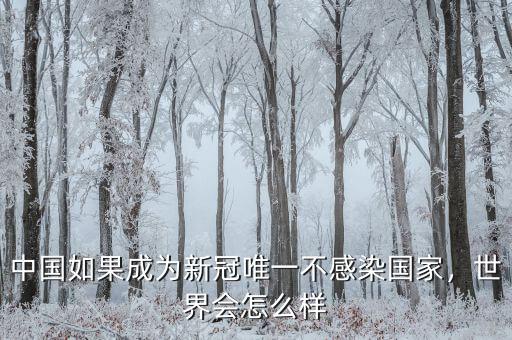 中國如果成為新冠唯一不感染國家，世界會怎么樣