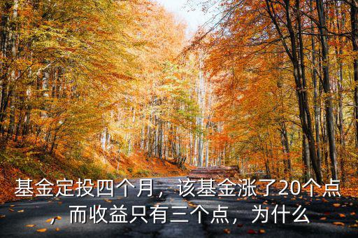 基金定投四個月，該基金漲了20個點，而收益只有三個點，為什么