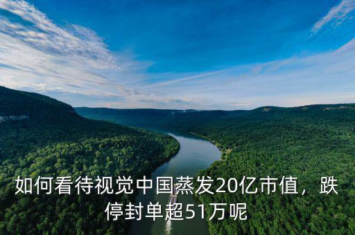 如何看待視覺(jué)中國(guó)蒸發(fā)20億市值，跌停封單超51萬(wàn)呢