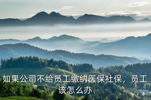 如果公司不給員工繳納醫(yī)保社保，員工該怎么辦