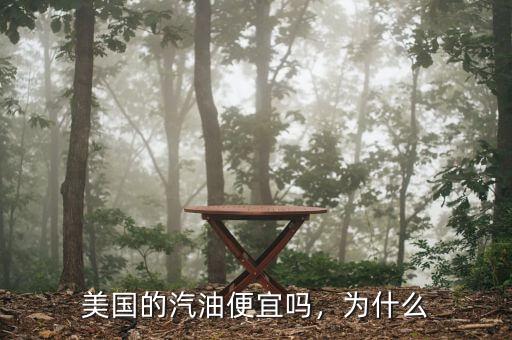 美國(guó)的汽油便宜嗎，為什么