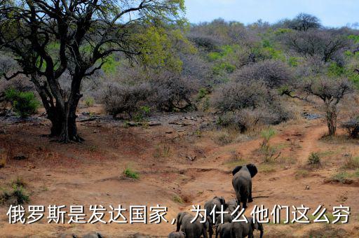 俄羅斯是發(fā)達國家，為什么他們這么窮