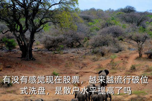有沒有感覺現(xiàn)在股票，越來越流行破位式洗盤，是散戶水平提高了嗎