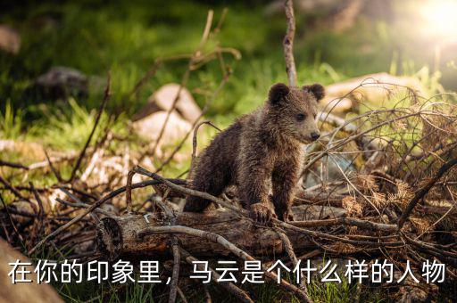 在你的印象里，馬云是個(gè)什么樣的人物