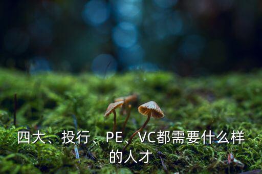 四大、投行、PE、VC都需要什么樣的人才