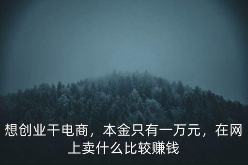 想創(chuàng)業(yè)干電商，本金只有一萬元，在網(wǎng)上賣什么比較賺錢
