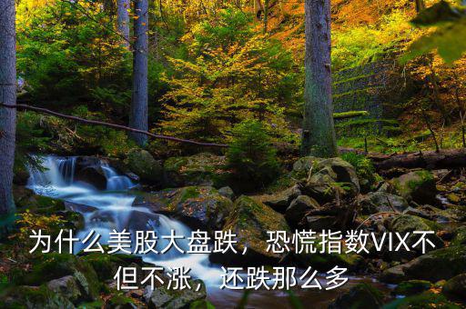 為什么美股大盤跌，恐慌指數(shù)VIX不但不漲，還跌那么多
