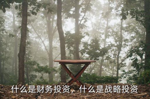 什么是財(cái)務(wù)投資，什么是戰(zhàn)略投資