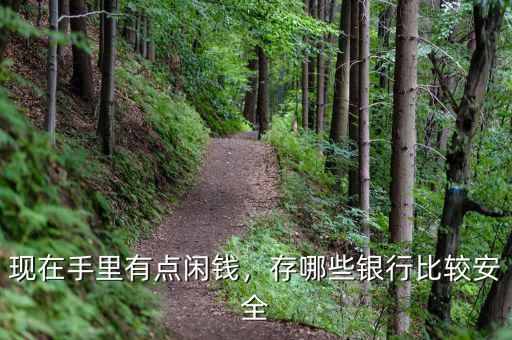 現(xiàn)在手里有點閑錢，存哪些銀行比較安全