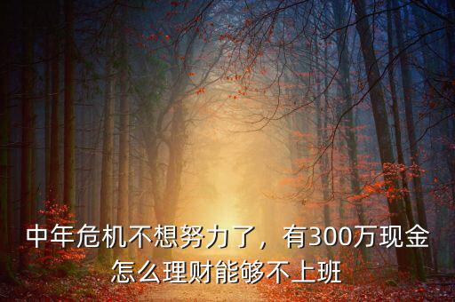 中年危機(jī)不想努力了，有300萬(wàn)現(xiàn)金怎么理財(cái)能夠不上班