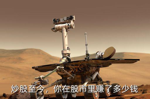 炒股至今，你在股市里賺了多少錢