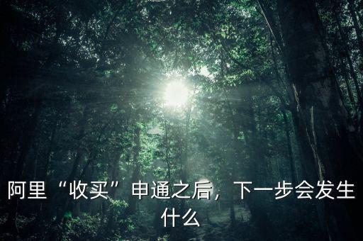 阿里“收買”申通之后，下一步會(huì)發(fā)生什么