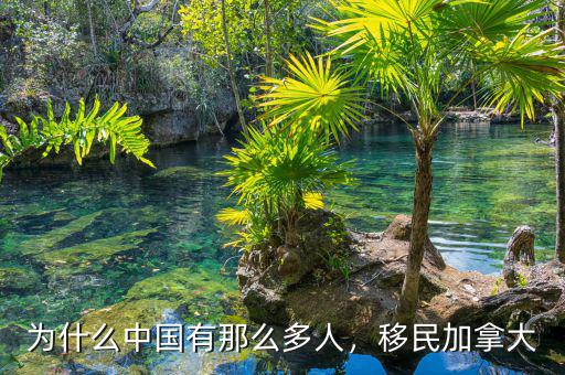 為什么中國有那么多人，移民加拿大