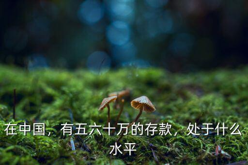 在中國，有五六十萬的存款，處于什么水平