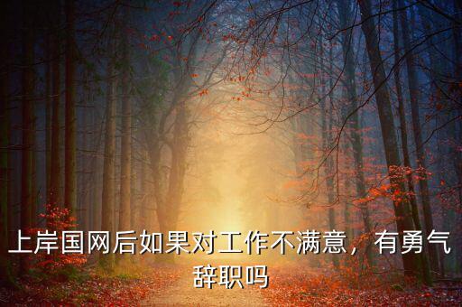 上岸國網(wǎng)后如果對工作不滿意，有勇氣辭職嗎