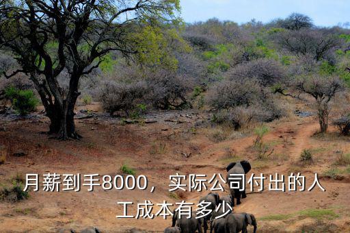 月薪到手8000，實(shí)際公司付出的人工成本有多少