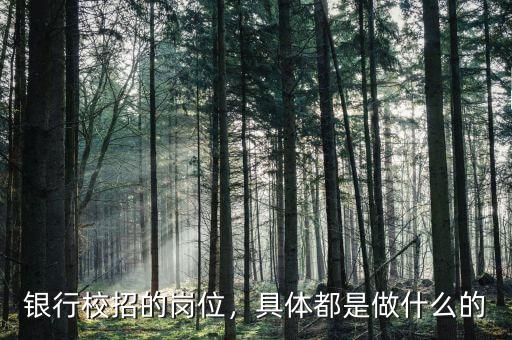 銀行校招的崗位，具體都是做什么的