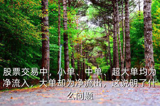 股票交易中，小單、中單、超大單均為凈流入，大單卻為凈流出，這說明了什么問題