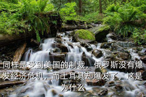 同樣是受到美國的制裁，俄羅斯沒有爆發(fā)經(jīng)濟(jì)危機(jī)，而土耳其卻爆發(fā)了，這是為什么