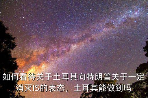 如何看待關(guān)于土耳其向特朗普關(guān)于一定消滅IS的表態(tài)，土耳其能做到嗎