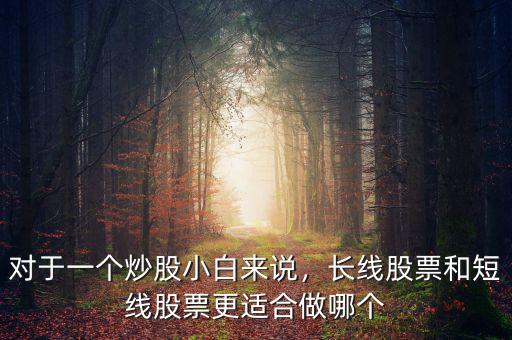 對于一個(gè)炒股小白來說，長線股票和短線股票更適合做哪個(gè)