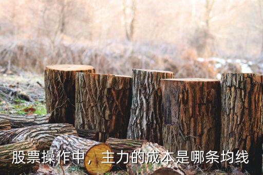 股票操作中，主力的成本是哪條均線