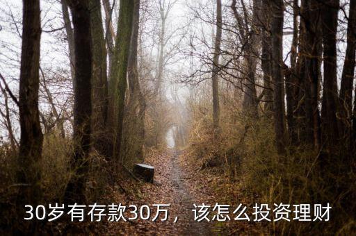 30歲有存款30萬(wàn)，該怎么投資理財(cái)