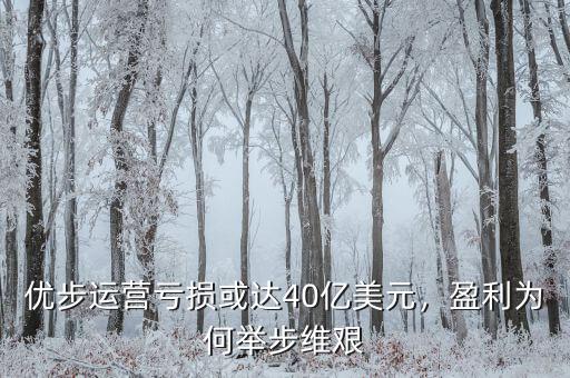 優(yōu)步運營虧損或達40億美元，盈利為何舉步維艱