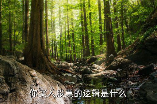 你買(mǎi)入股票的邏輯是什么
