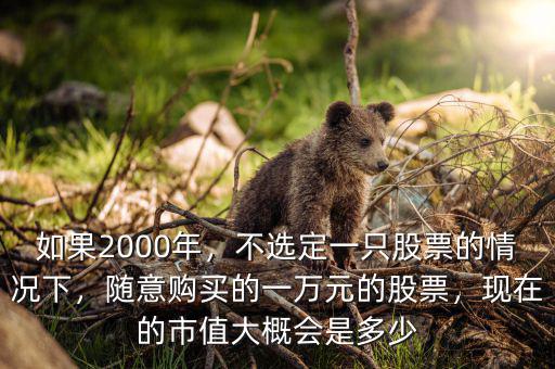 如果2000年，不選定一只股票的情況下，隨意購(gòu)買的一萬(wàn)元的股票，現(xiàn)在的市值大概會(huì)是多少