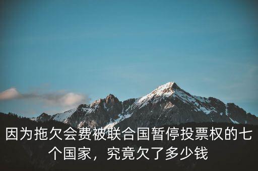 因為拖欠會費被聯(lián)合國暫停投票權(quán)的七個國家，究竟欠了多少錢