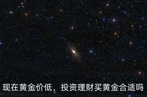 現(xiàn)在黃金價(jià)低，投資理財(cái)買黃金合適嗎