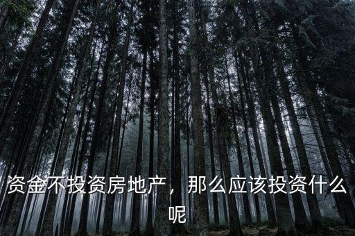 資金不投資房地產(chǎn)，那么應(yīng)該投資什么呢
