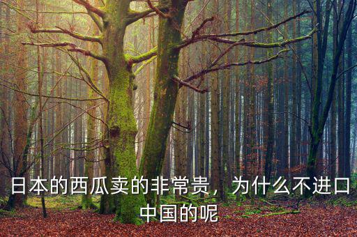 日本的西瓜賣的非常貴，為什么不進(jìn)口中國(guó)的呢