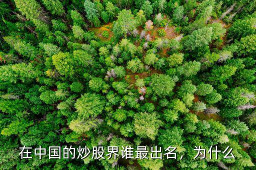 在中國的炒股界誰最出名，為什么