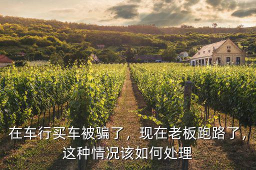 在車(chē)行買(mǎi)車(chē)被騙了，現(xiàn)在老板跑路了，這種情況該如何處理