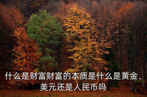 什么是財(cái)富財(cái)富的本質(zhì)是什么是黃金、美元還是人民幣嗎