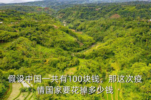 假設(shè)中國(guó)一共有100塊錢，那這次疫情國(guó)家要花掉多少錢