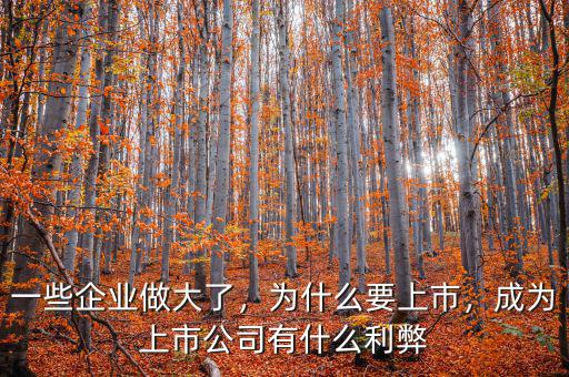 一些企業(yè)做大了，為什么要上市，成為上市公司有什么利弊