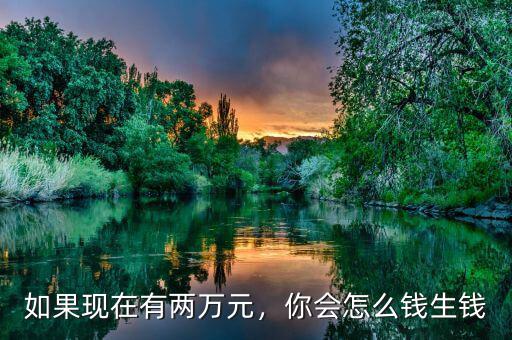 如果現(xiàn)在有兩萬元，你會(huì)怎么錢生錢