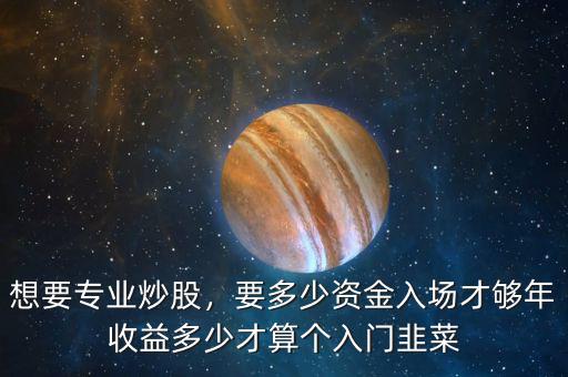 想要專業(yè)炒股，要多少資金入場才夠年收益多少才算個入門韭菜