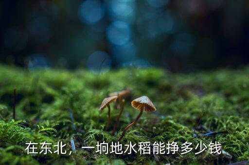 在東北，一坰地水稻能掙多少錢