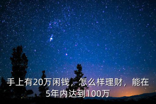手上有20萬(wàn)閑錢，怎么樣理財(cái)，能在5年內(nèi)達(dá)到100萬(wàn)