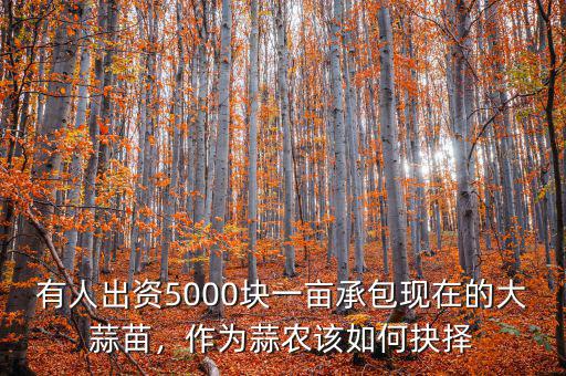 有人出資5000塊一畝承包現(xiàn)在的大蒜苗，作為蒜農(nóng)該如何抉擇
